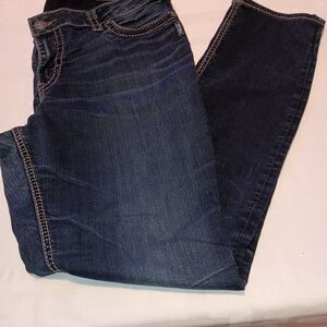 Silver Jeans Women's Dark Blue Skinny Jeans